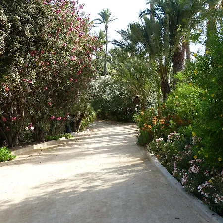 Very Flat Ust 800m Postiguet-beach דירה